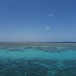 50 Shades of Blue & Snorkeling the Great Barrier Reef