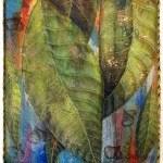Gum leaves