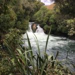 Recharging my batteries at Lake Rotoiti