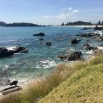 Beautiful Tauranga